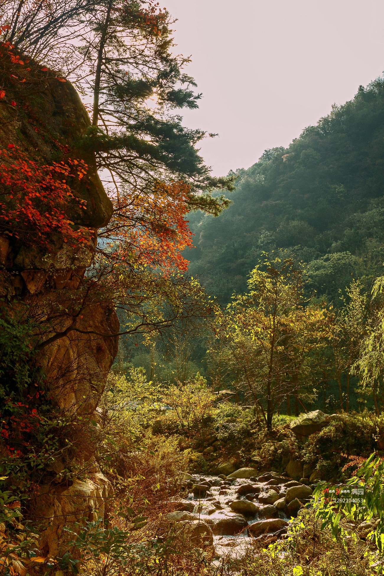 翠华山 006.jpg