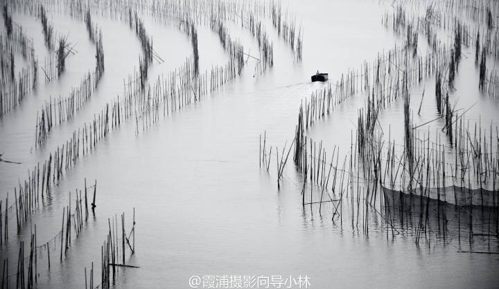 图片IMG_5475.JPG