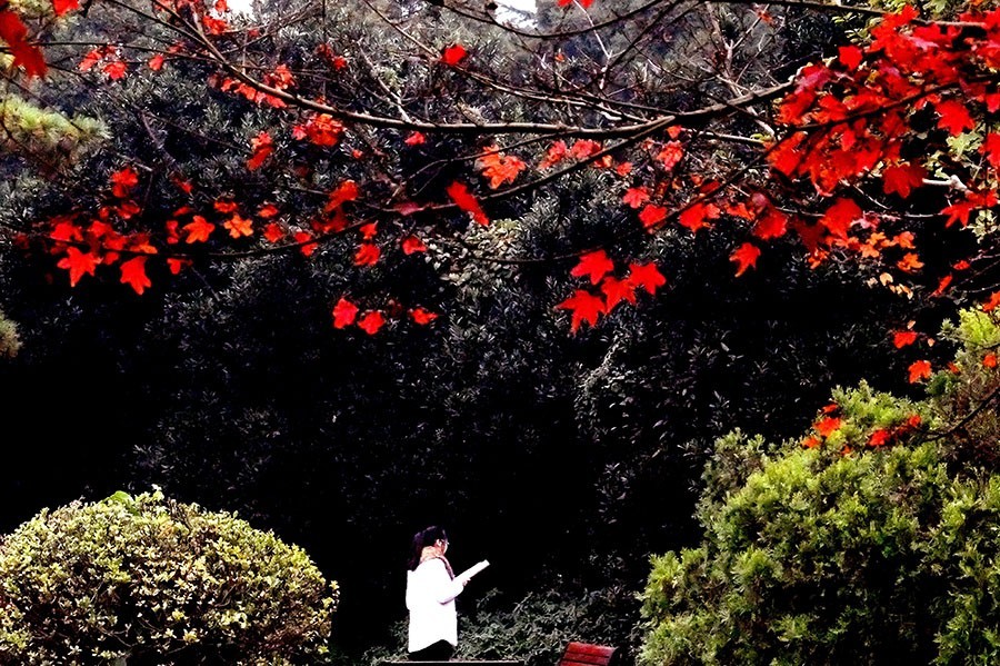 DSCF6409_副本压.jpg