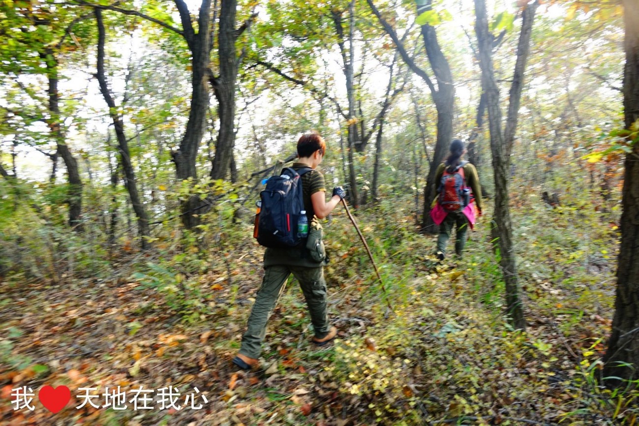 山林轻捷步履