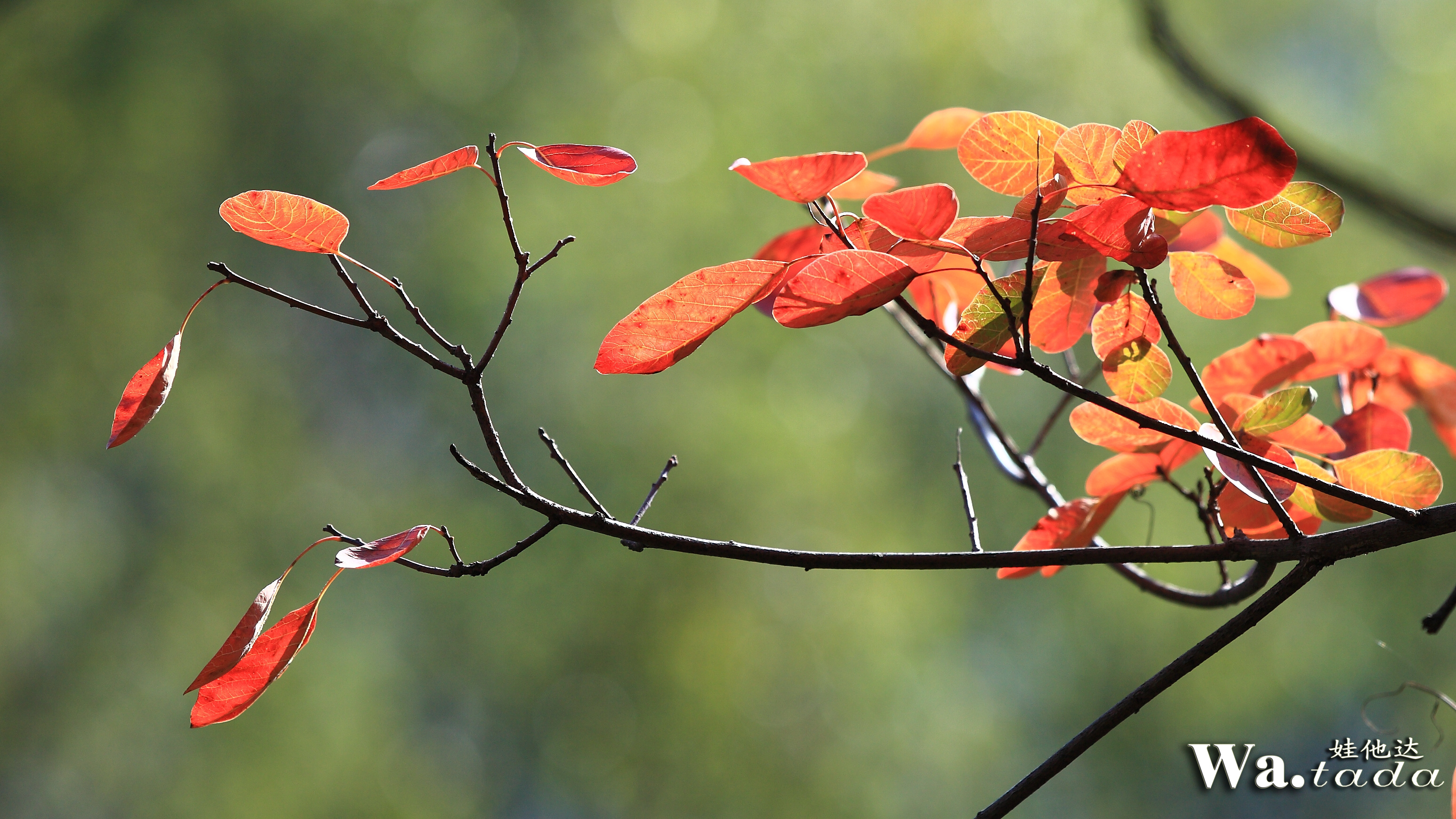 IMG_4849_副本.jpg
