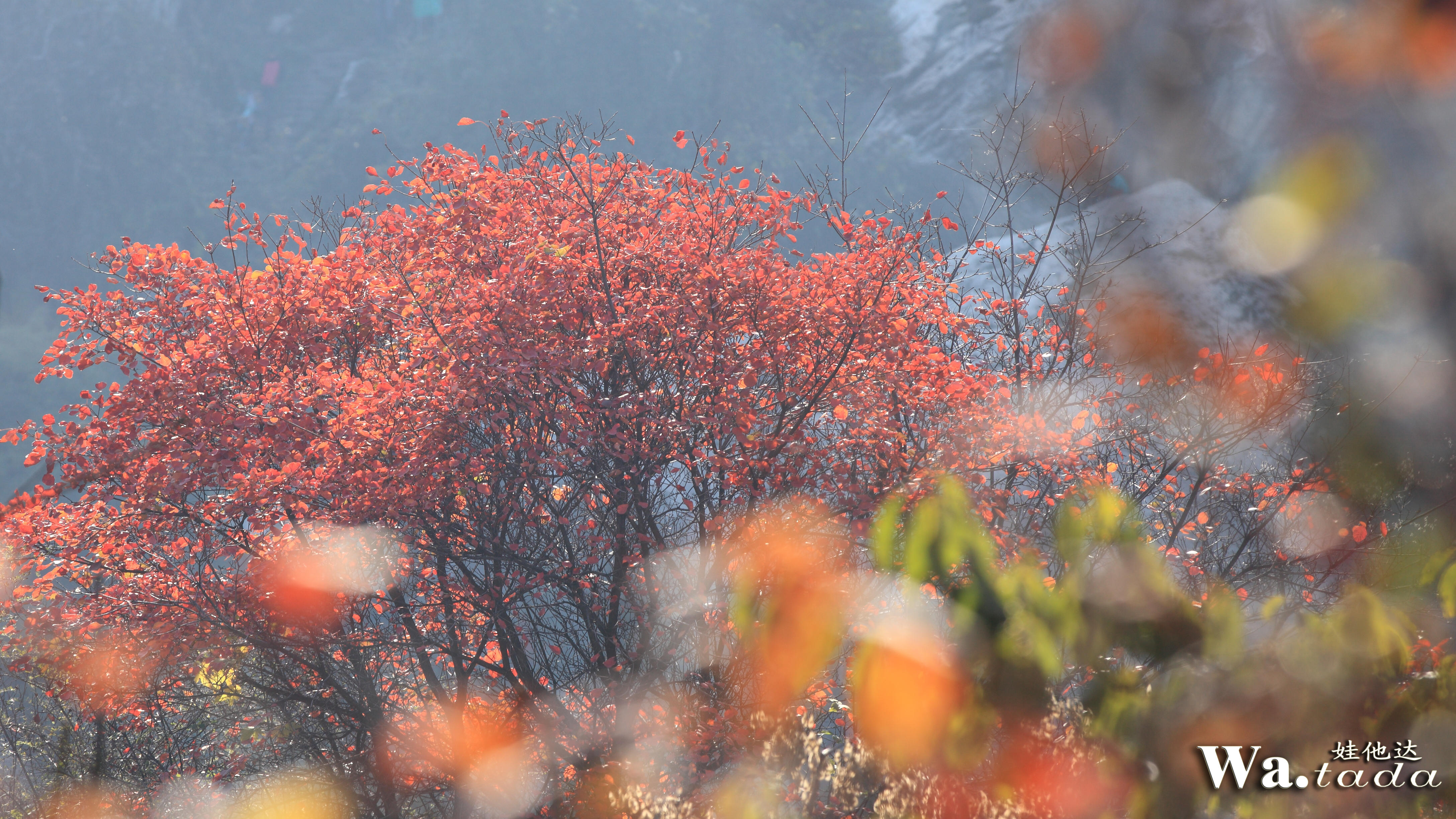 IMG_4872_副本.jpg