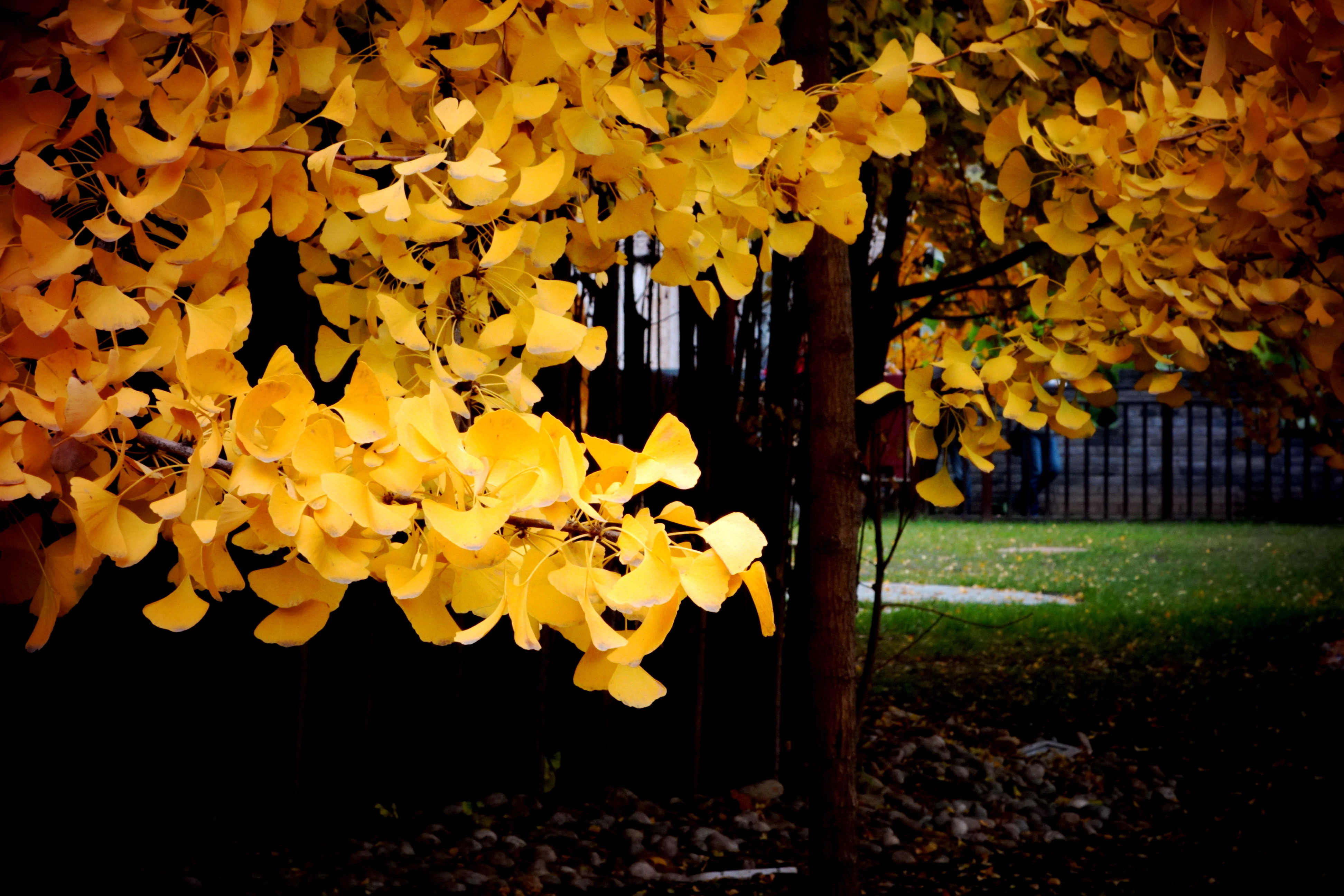 DSC09533.JPG