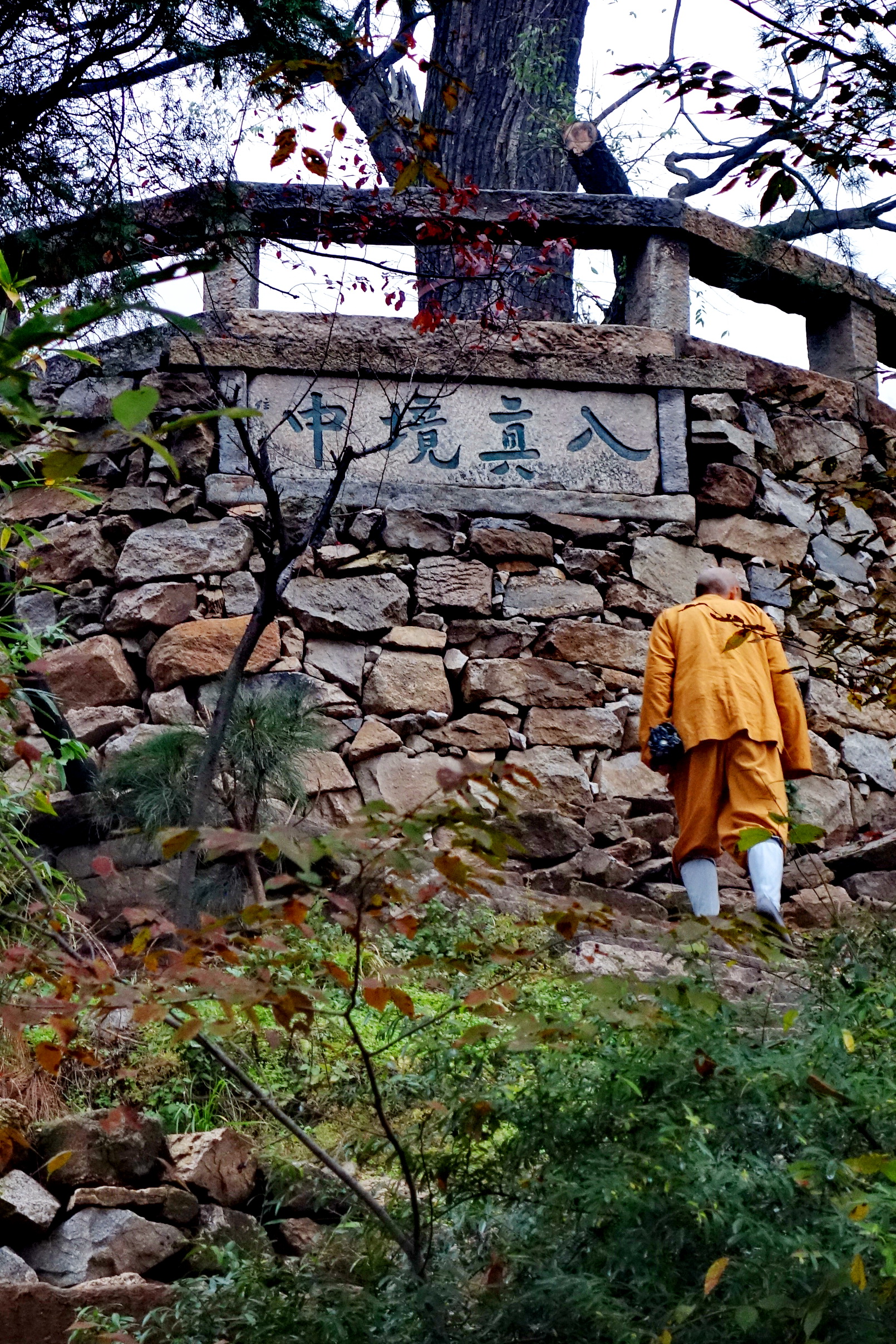DSC09469.JPG