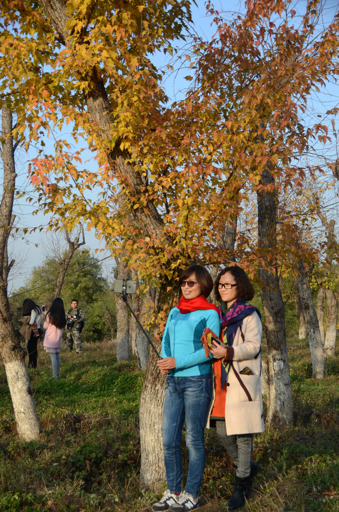 DSC_2090副本.jpg