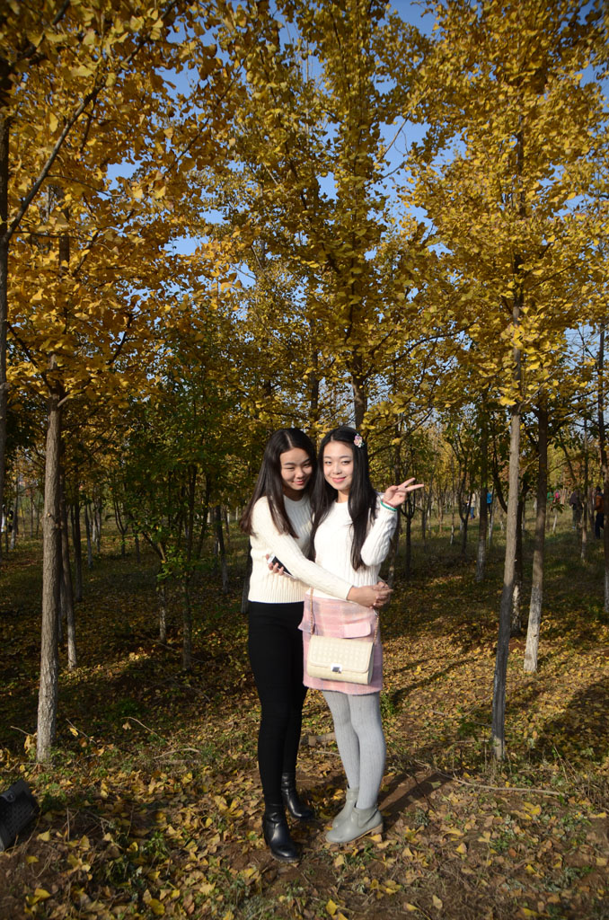 DSC_2064副本.jpg