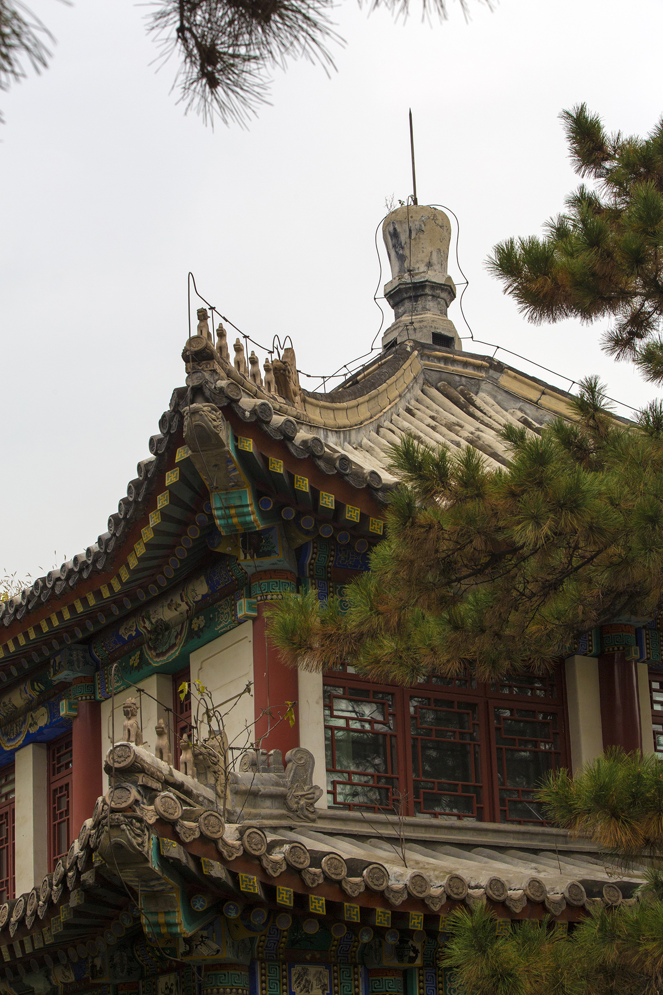 AR4A8452 拷贝.jpg
