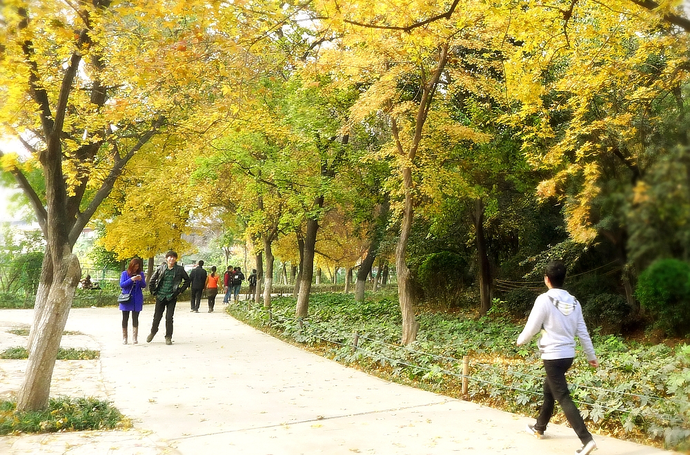 P1120911.jpg