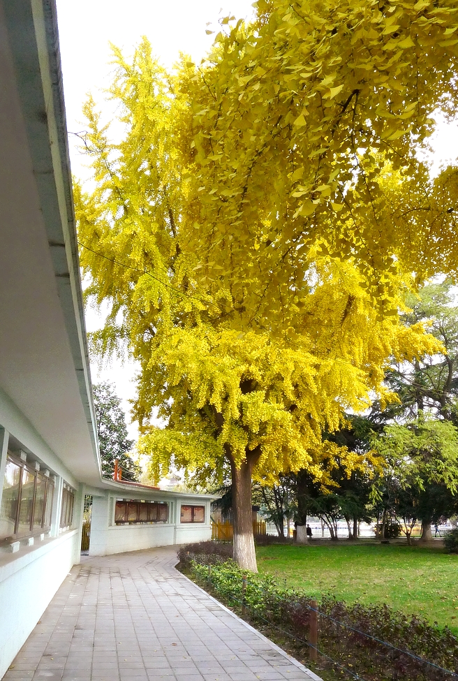 P1120922.jpg