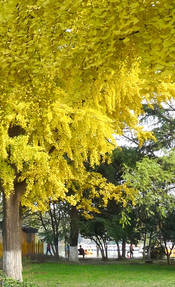 P11209200.jpg