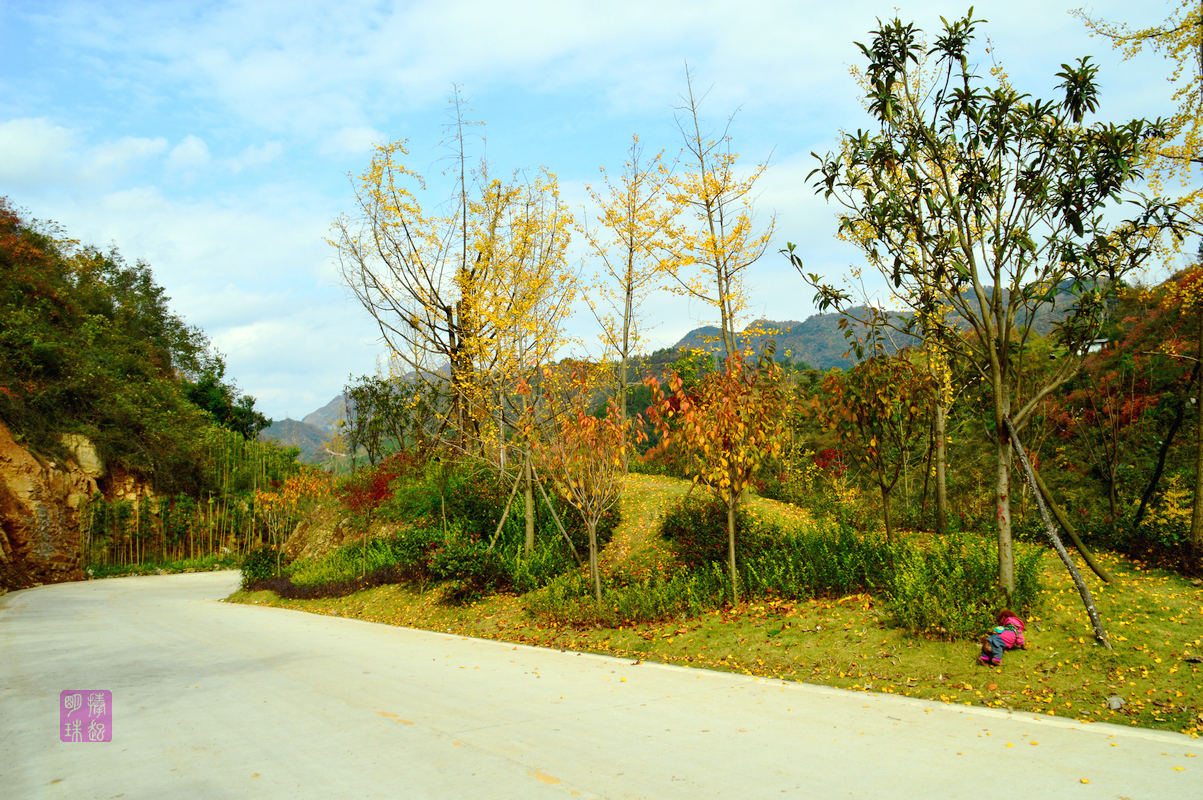 DSC_1340_副本.JPG