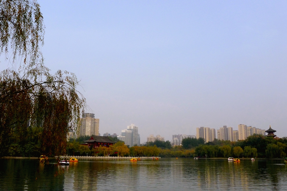 P1120932.jpg