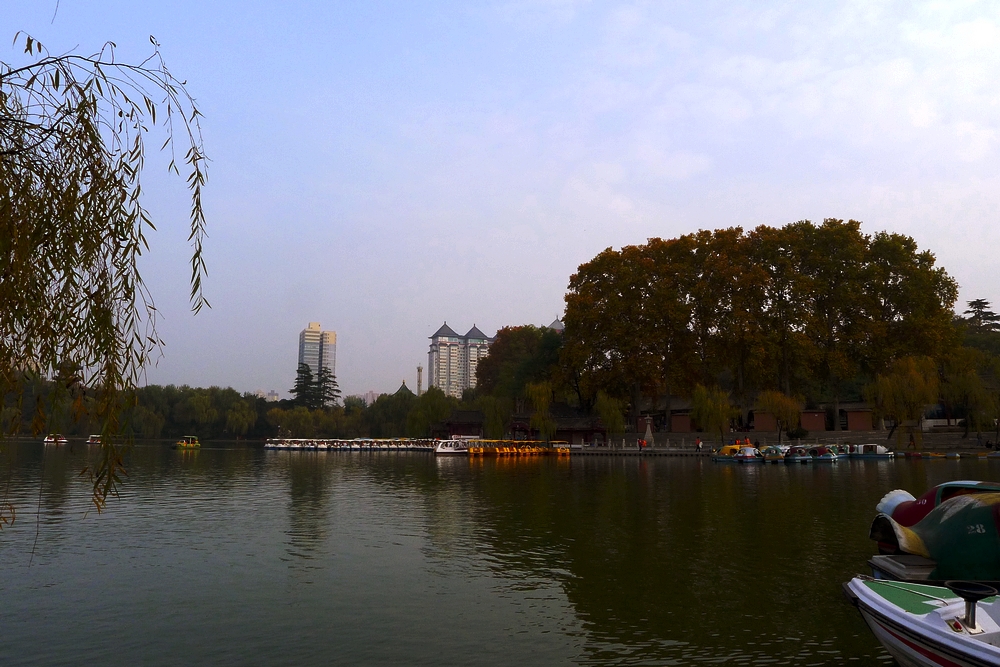 P1120935.jpg