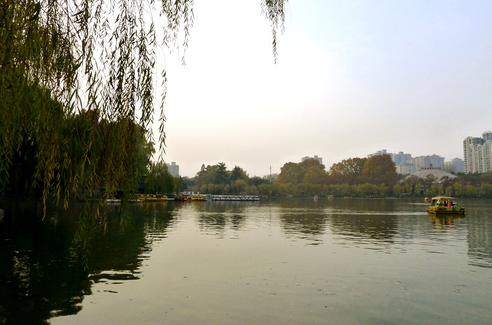 P1120953.jpg