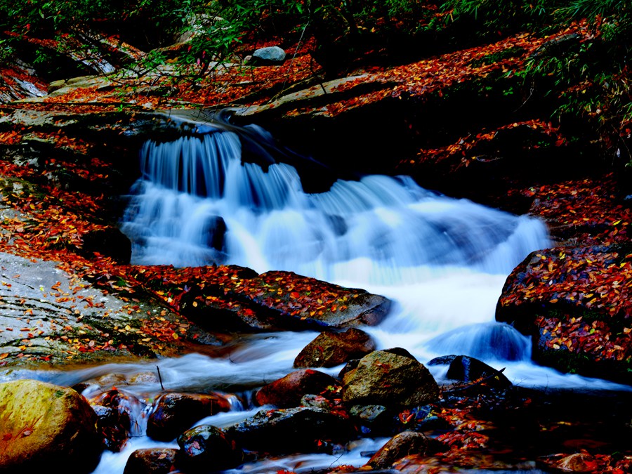 DSC_6358_副本.jpg