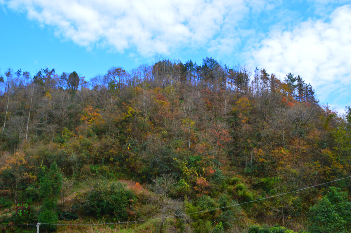 DSC_1584.JPG