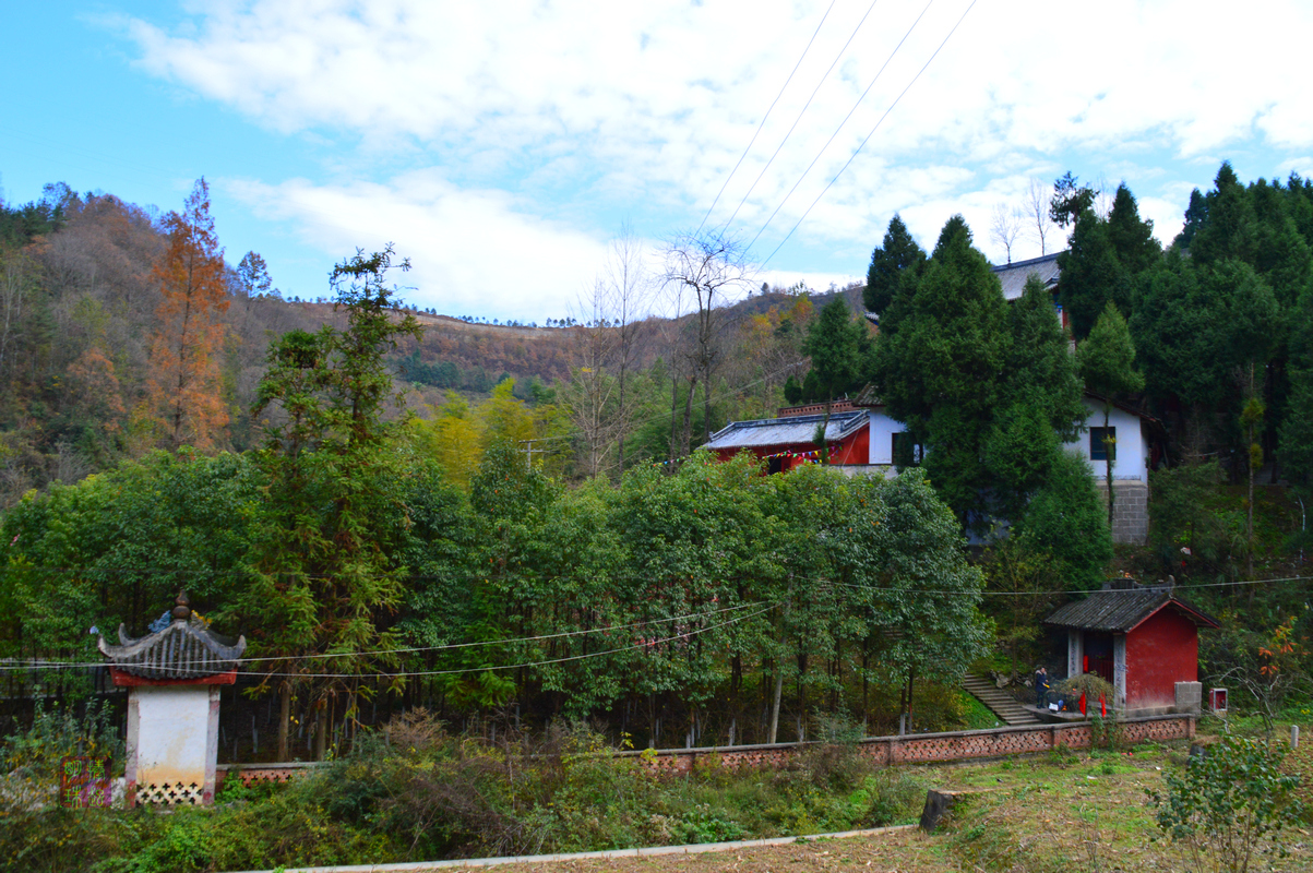 DSC_1583.JPG