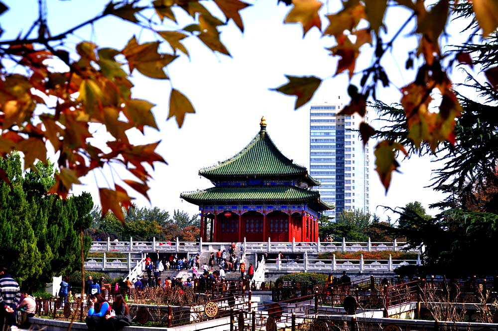 公园秋色.JPG