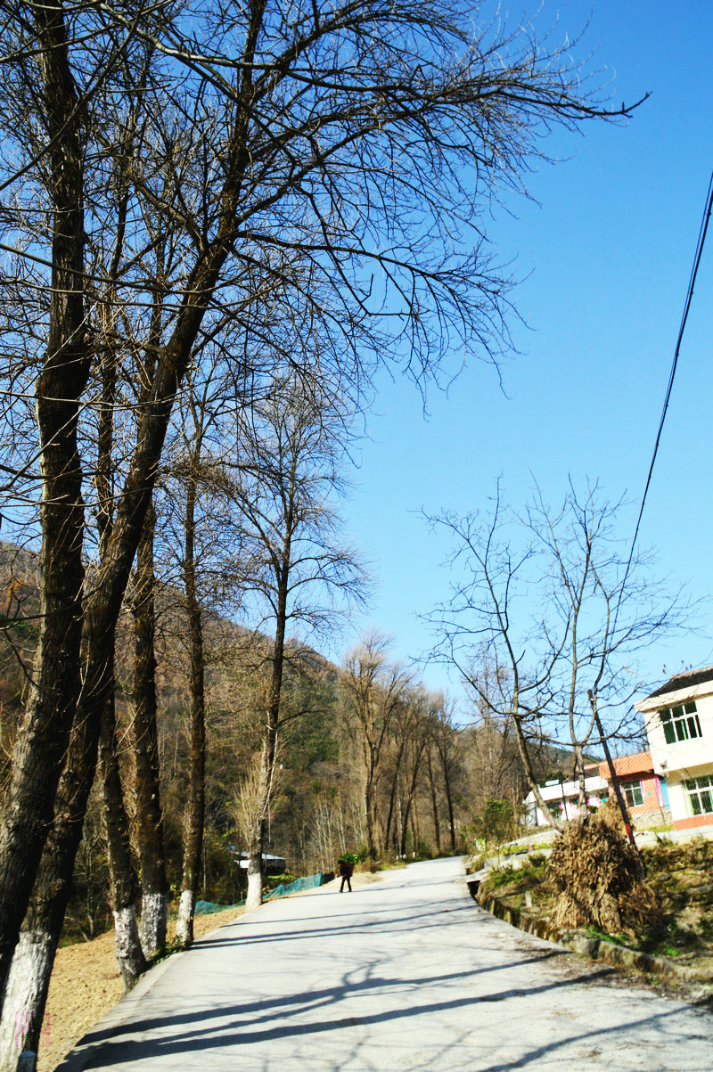 DSC_1812.JPG