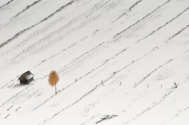 3b0a7d19e8aace46bdbf66857433c9ed.jpg