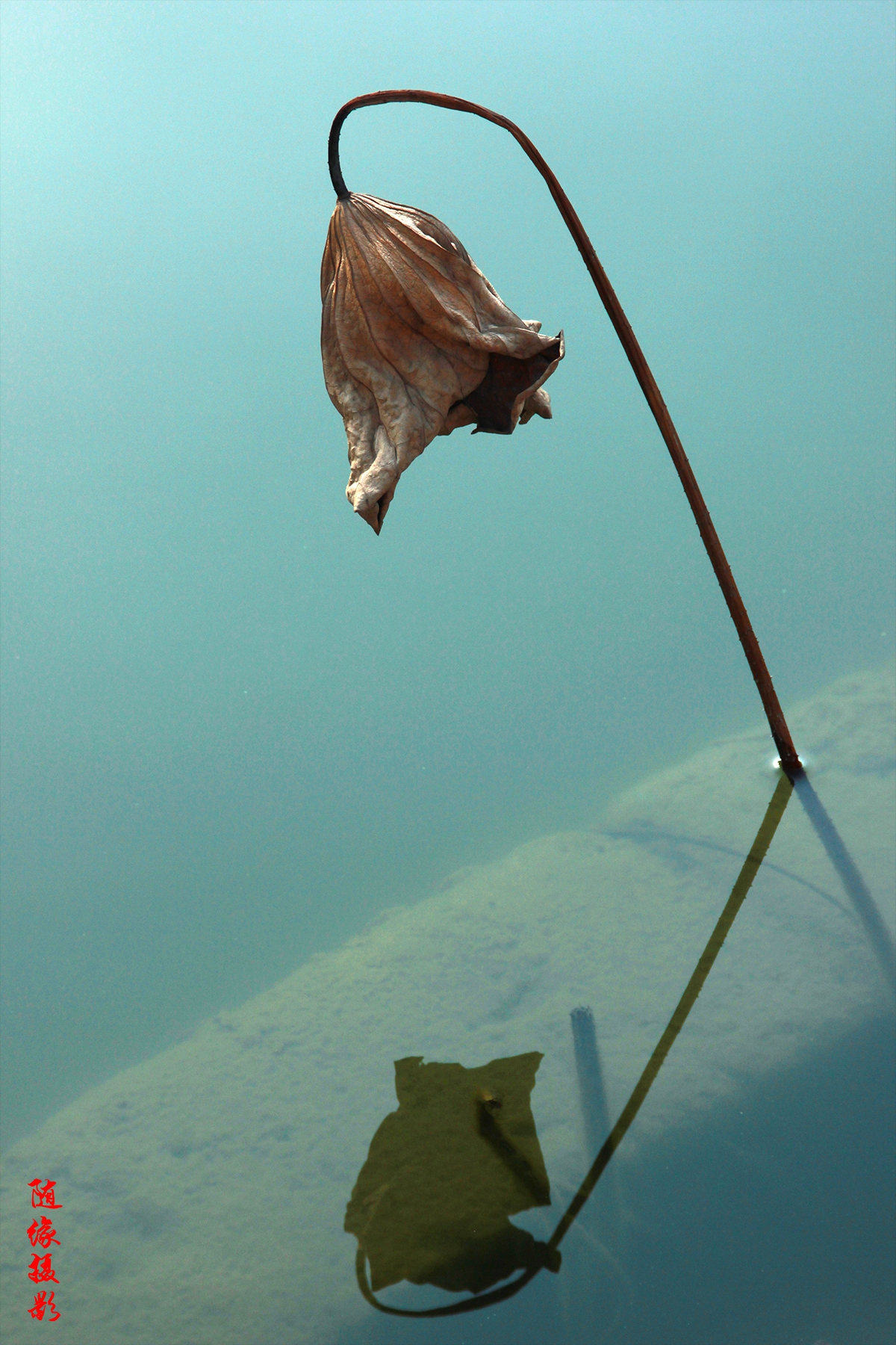 IMG_5803副本.jpg