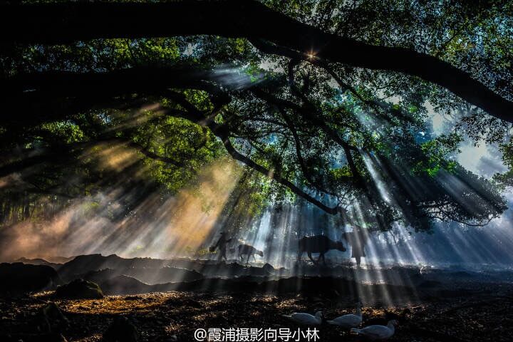 QQ图片20151208200806.jpg