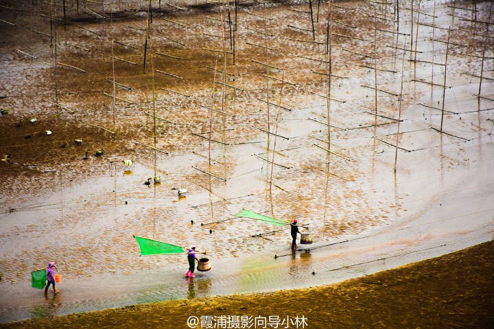 图片IMG_5446.JPG