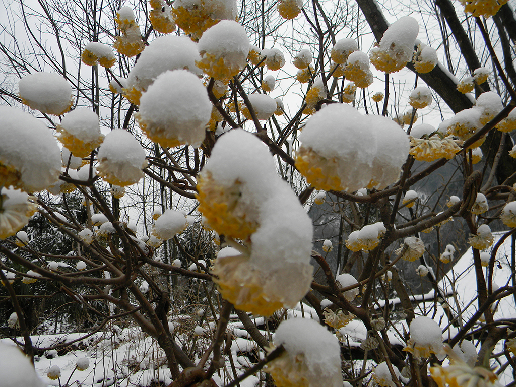 DSCN1155.jpg