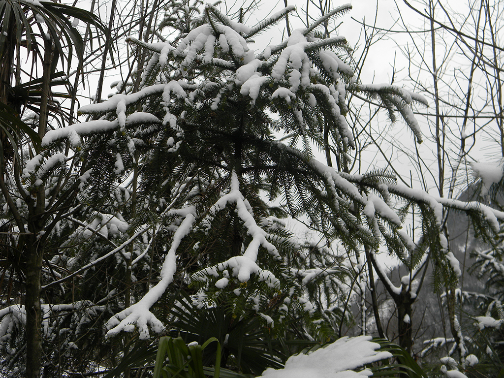 DSCN1153.jpg