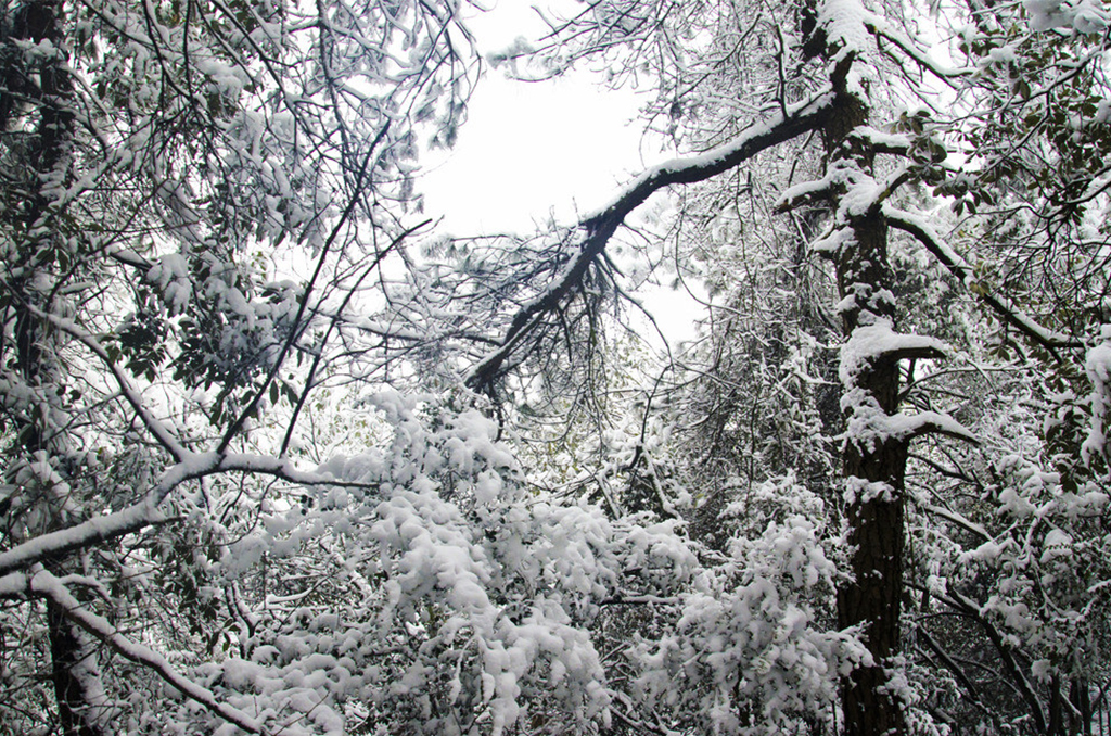 DSC-7897.jpg