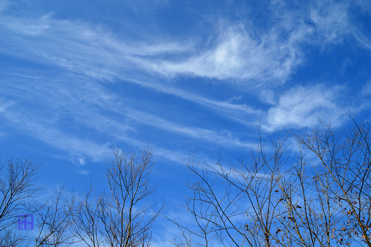 DSC_2728_副本.JPG