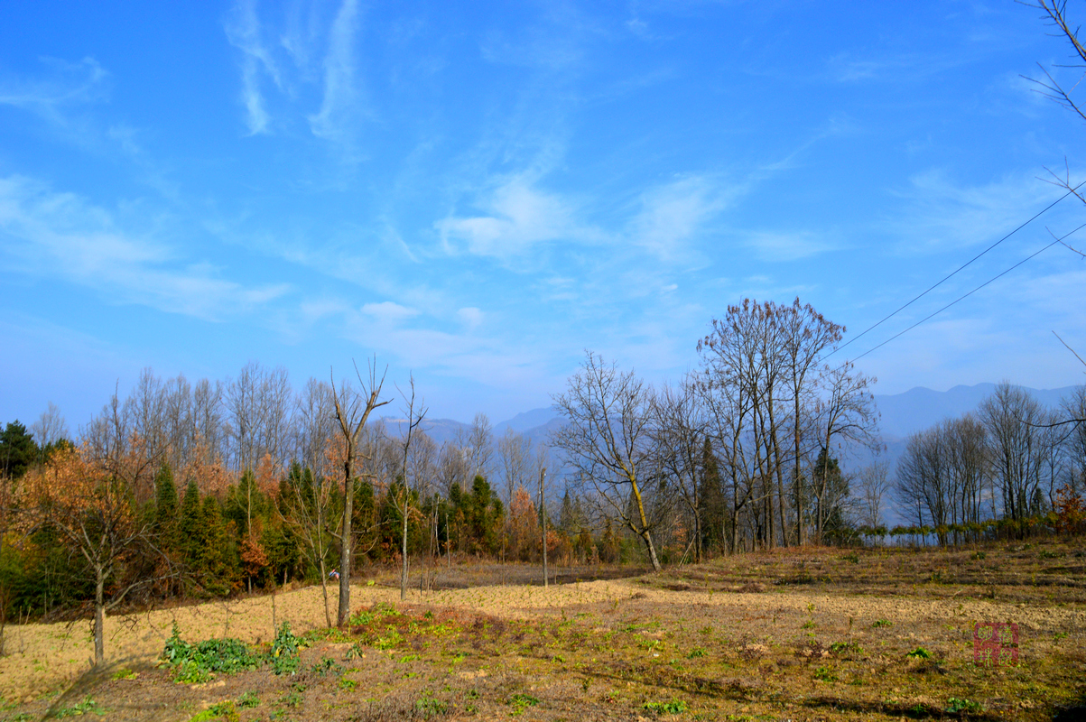 DSC_2743_副本.JPG