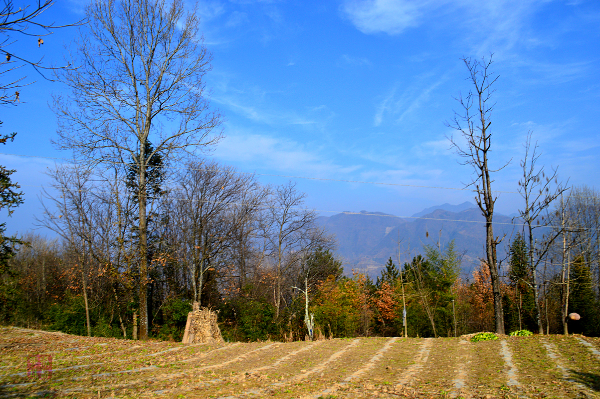 DSC_2756_副本.JPG
