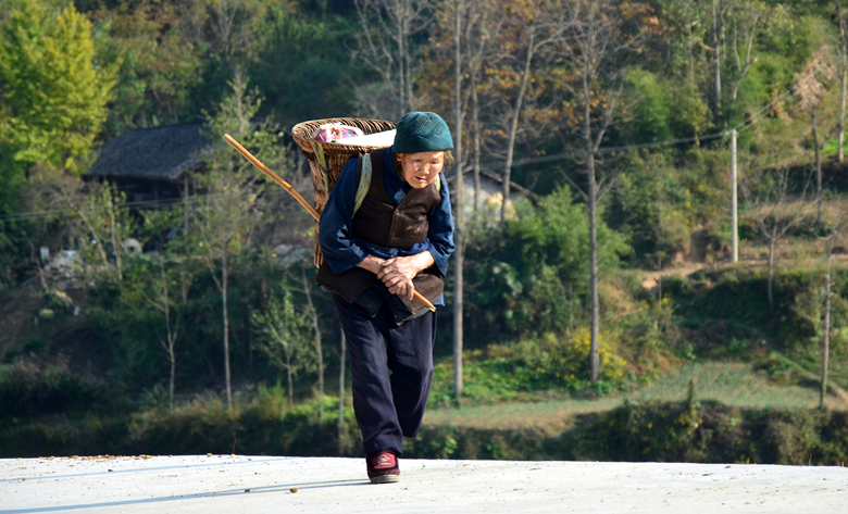 DSC_0221_副本_副本.jpg