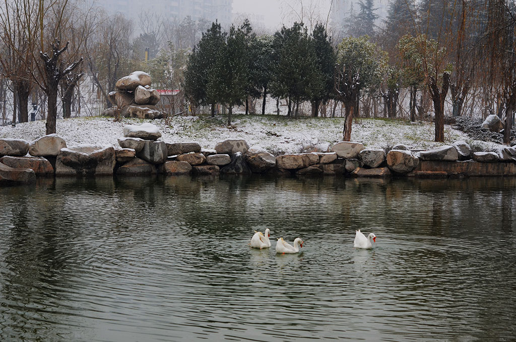 DSC_2726副本.jpg