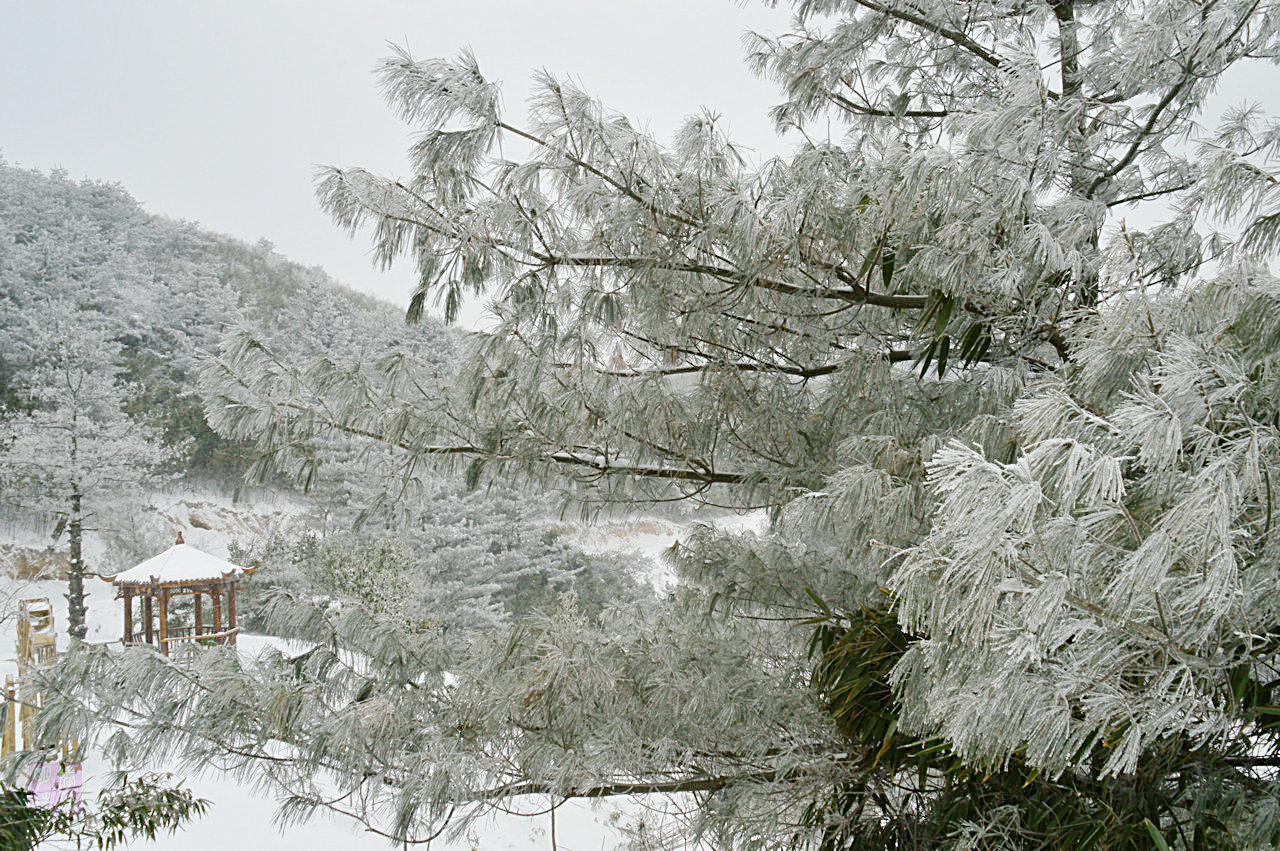 DSC_3608.JPG
