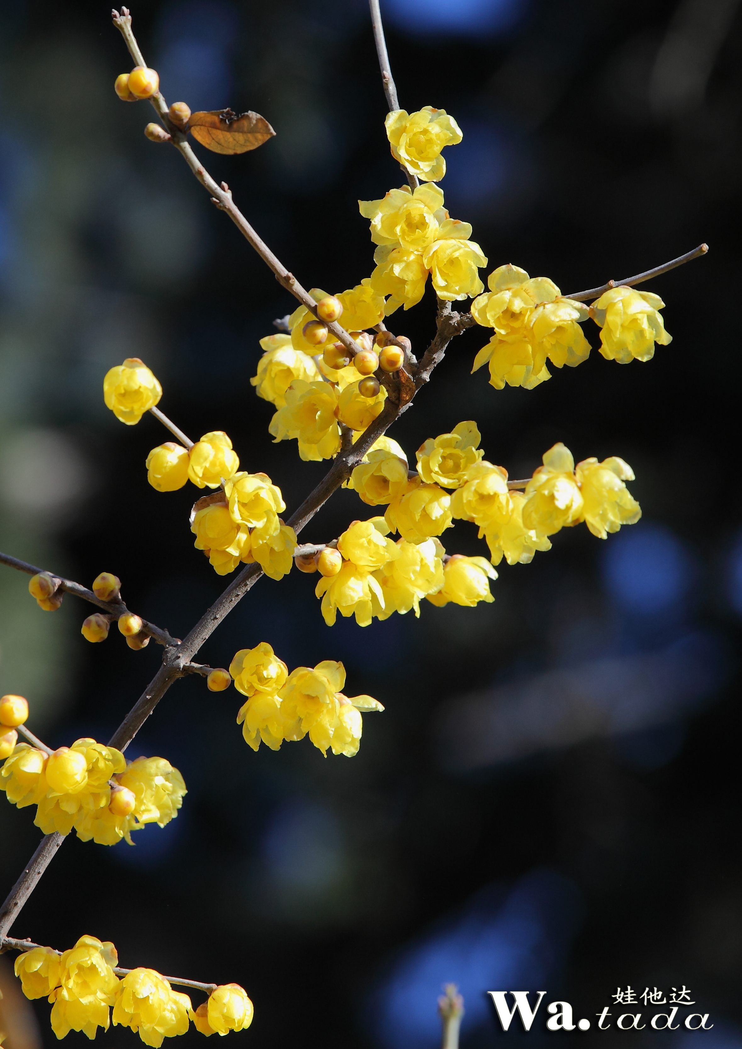 IMG_0019_副本.jpg