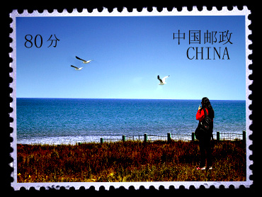 青海湖.jpg