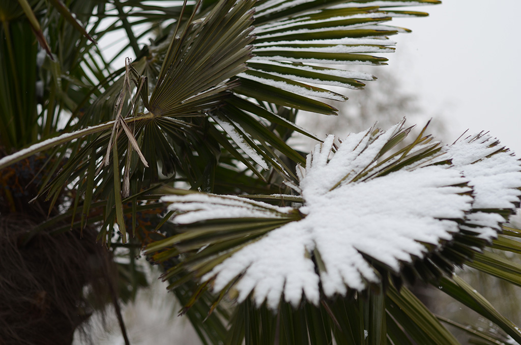 DSC_2730副本.jpg