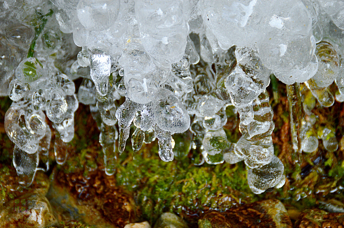 DSC_3924_副本.JPG