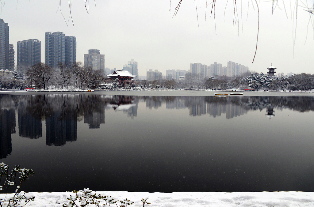 DSC_6462.JPG