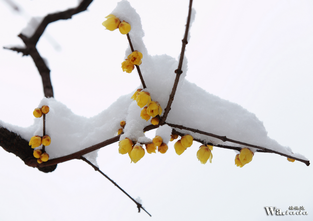 IMG_0204_副本.jpg