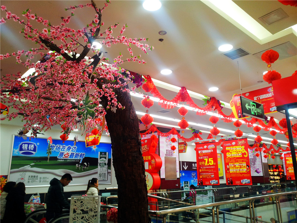 20160207_113736.jpg
