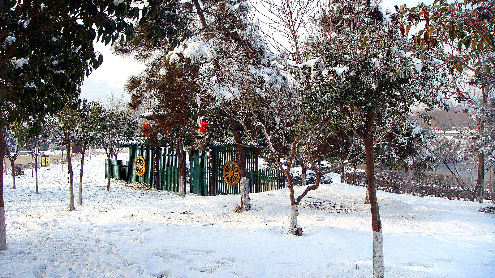 DSC05270_meitu_41.jpg