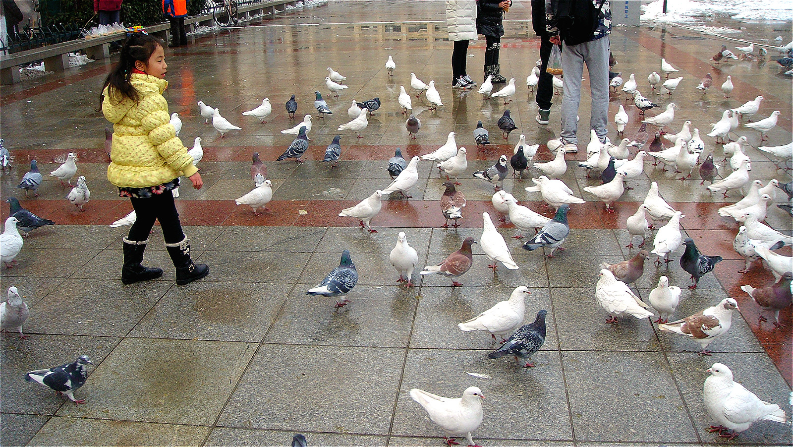 DSC05196_meitu_4.jpg