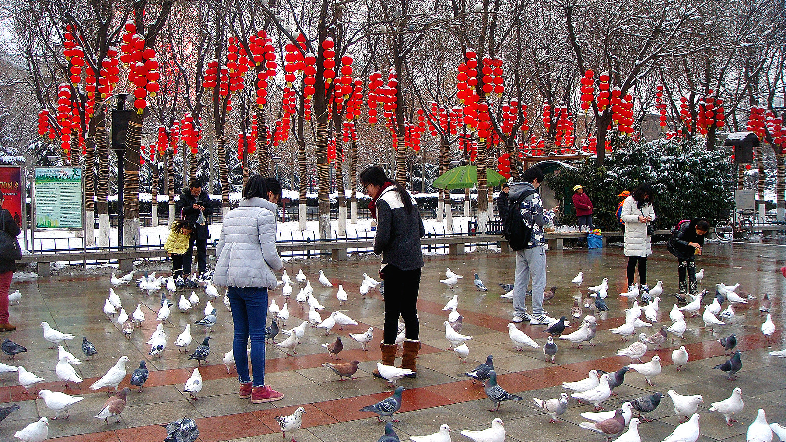 DSC05197_meitu_5.jpg