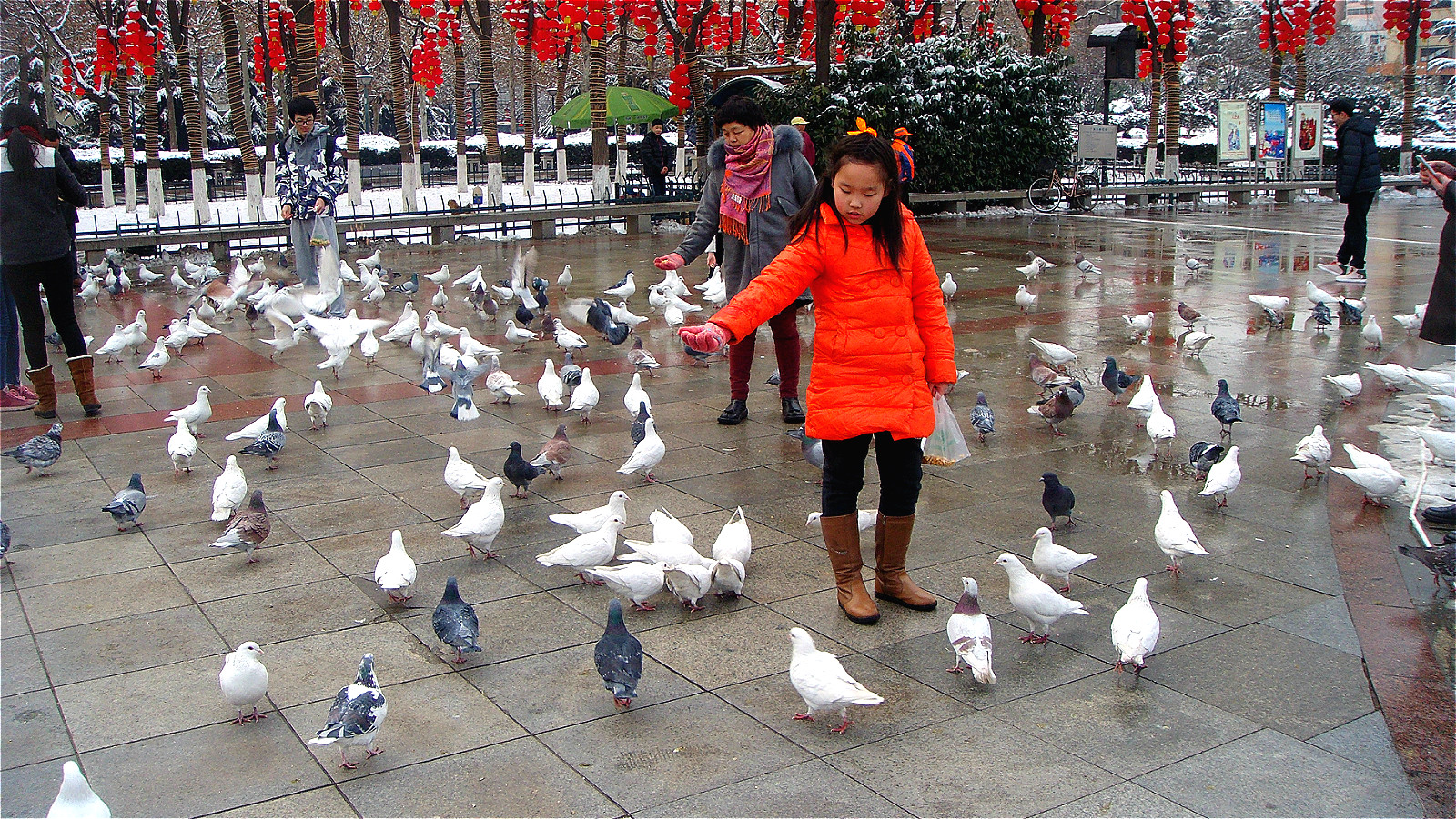 DSC05198_meitu_6.jpg