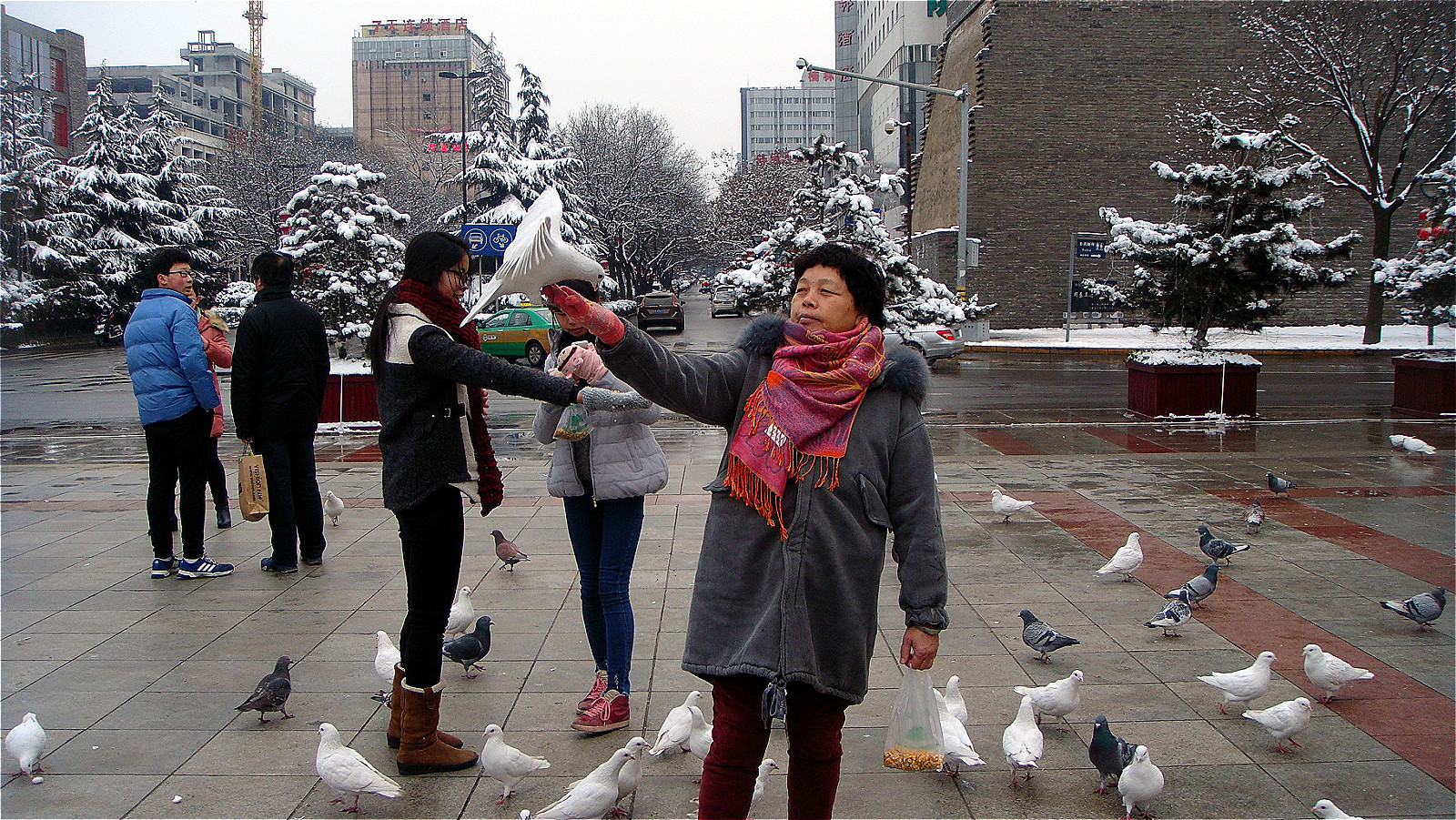 DSC05210_meitu_17.jpg