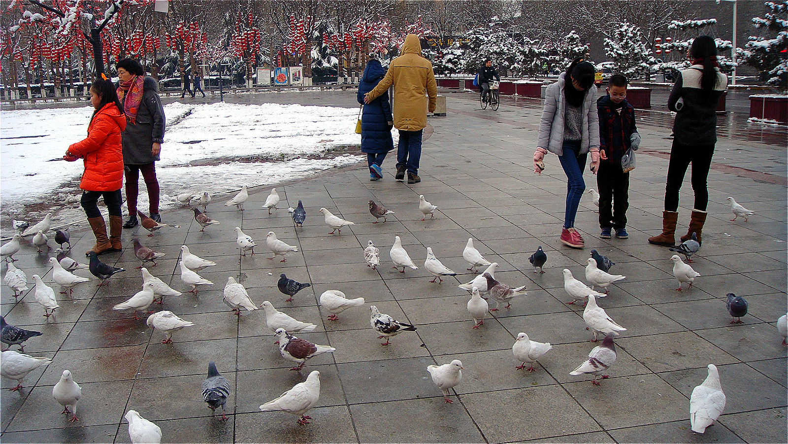 DSC05221_meitu_22.jpg