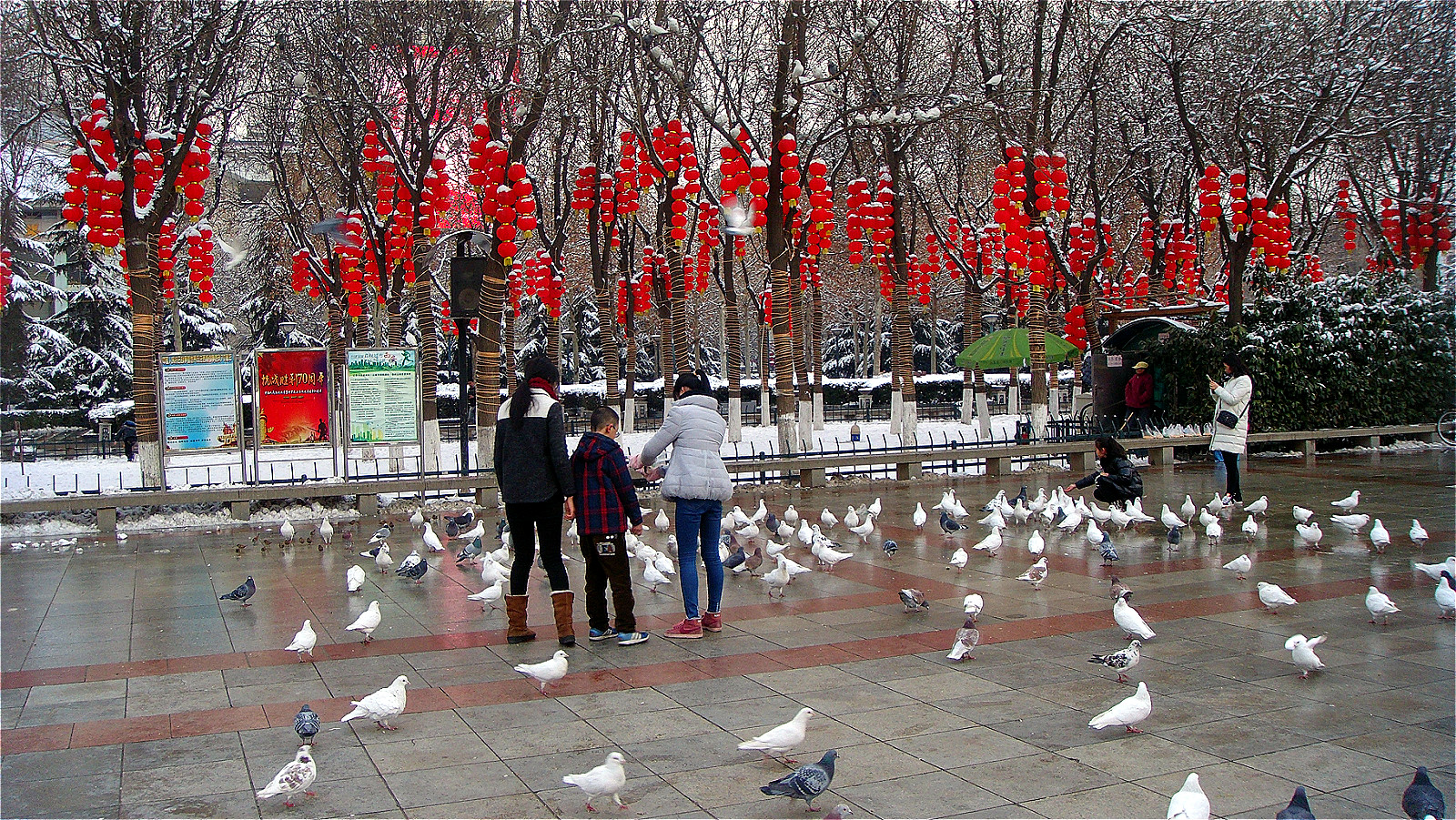 DSC05223_meitu_24.jpg